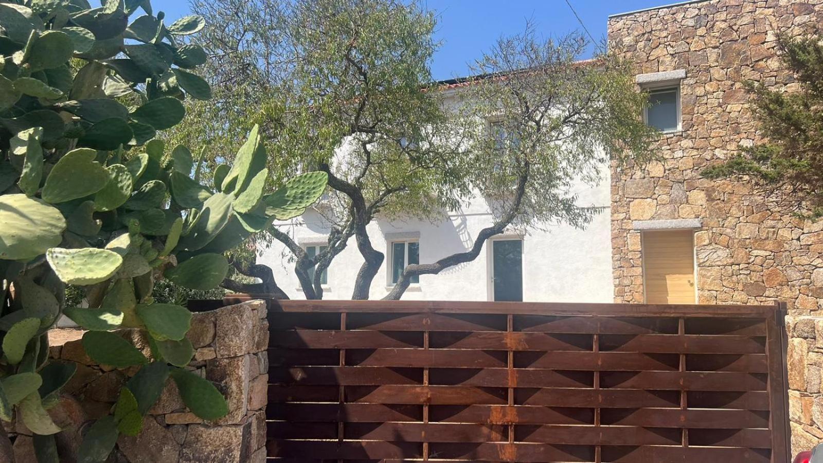 Il Mandorlo Acomodação com café da manhã Santa Teresa Gallura Exterior foto